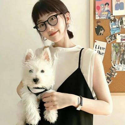 维琴河第六季封面