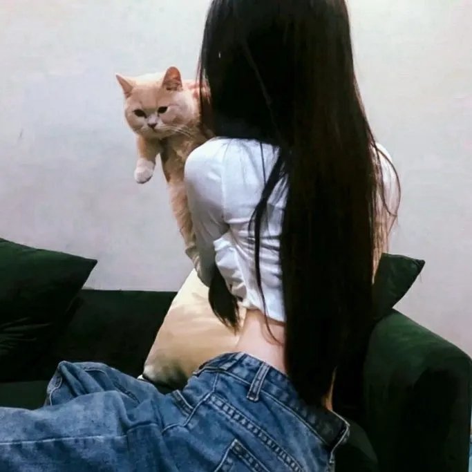 磨剪子抢菜刀封面